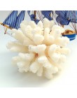 12-14cm 100% naturalny koral morze biały koral drzewo biały koral akwarium krajobrazu ozdobne wyposażenie domu dekoracji wnętrz