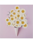 Świeca DIY Daisy suszone kwiaty tłoczenie botanika wzór DIY instrukcja klej ręcznie powłoki dekoracji 3d płatek świece latarnia