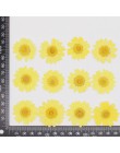 Świeca DIY Daisy suszone kwiaty tłoczenie botanika wzór DIY instrukcja klej ręcznie powłoki dekoracji 3d płatek świece latarnia