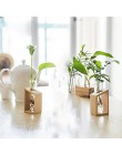 Gorąca sprzedaż szkła kryształowego probówki wazon w drewniany stojak doniczki na rośliny hydroponiczne dekoracja do przydomoweg