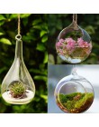10 sztuk Decor Ball Globe kształt przezroczysty szklana wisząca wazon kwiat rośliny 2019