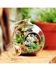 10 sztuk Decor Ball Globe kształt przezroczysty szklana wisząca wazon kwiat rośliny 2019