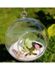 Terrarium Ball Globe Shape wyczyść szklana wisząca kwiat w wazonie rośliny pojemnik Ornament mikro element dekoracji krajobrazu 