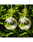 Terrarium Ball Globe Shape wyczyść szklana wisząca kwiat w wazonie rośliny pojemnik Ornament mikro element dekoracji krajobrazu 