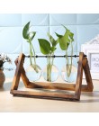 Szklany i drewniany wazon sadzarka Terrarium stół do komputera hydroponika drzewko Bonsai wiszące doniczki kwiat garnek z drewni