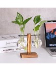 Szklany i drewniany wazon sadzarka Terrarium stół do komputera hydroponika drzewko Bonsai wiszące doniczki kwiat garnek z drewni
