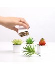 Erxiaobao piękne sztuczne rośliny z doniczką symulacja sukulenty Mini Bonsai doniczkowe umieszczone zielone sztuczne rośliny dek