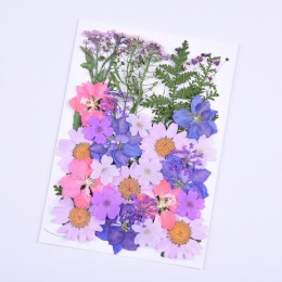 Małe suszone kwiaty sprasowane kwiaty DIY zachowane dekoracja kwiatowa Home Mini bloemen