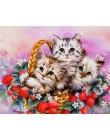 Diament mozaika diament zwierzęcy malowanie pełne kwadratowe koty diamentowe hafty ścieg krzyżykowy kwiaty obraz z kryształków r